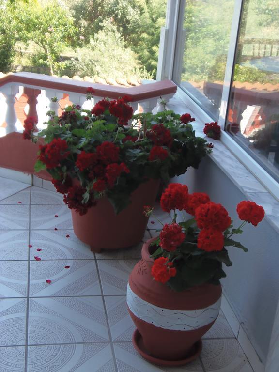Great Alexander Hotel Plaka Litochorou Zewnętrze zdjęcie